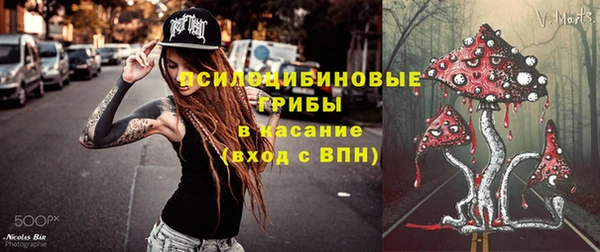 соль ск Ладушкин
