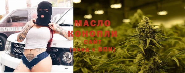 индика Лагань